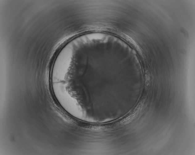 X0000113061035200909250904