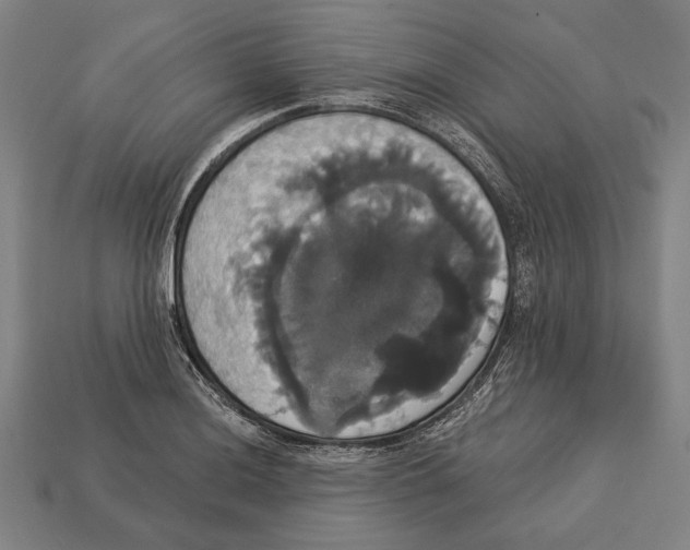 X0000113061036200909250904