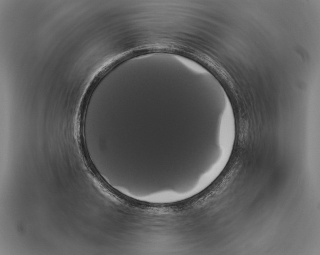 X0000113061037200909250904