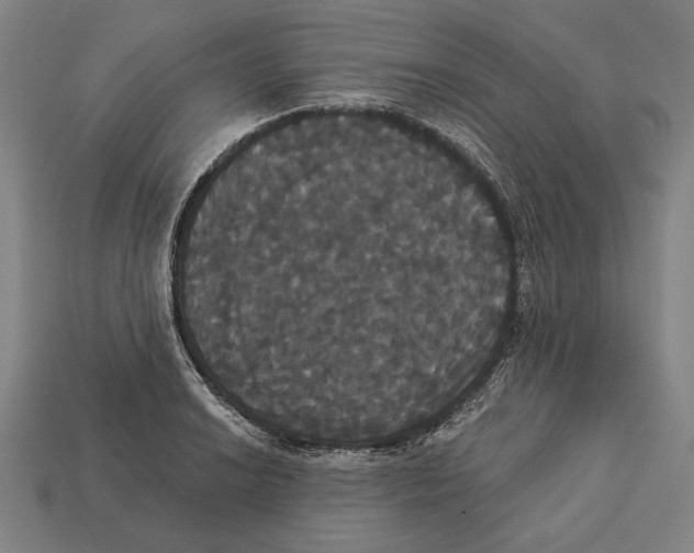 X0000113061038200909250904