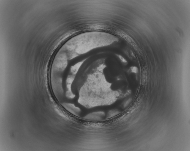 X0000113061039200909250904