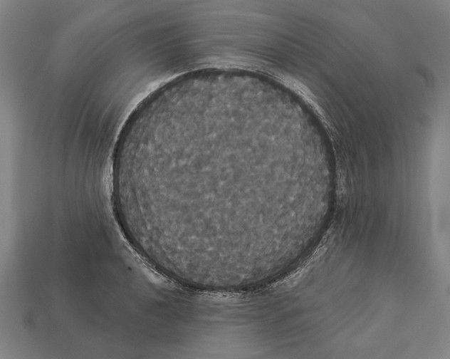 X0000113061040200909250904