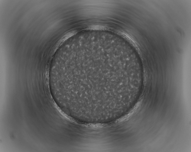 X0000113061041200909250904