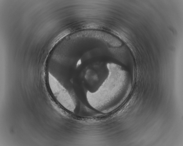 X0000113061042200909250904