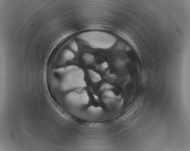 X0000113061043200909250904