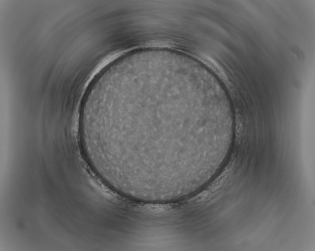 X0000113061044200909250904