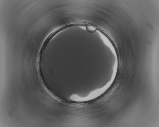 X0000113061045200909250905