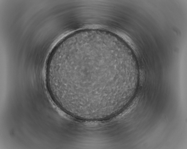 X0000113061046200909250905