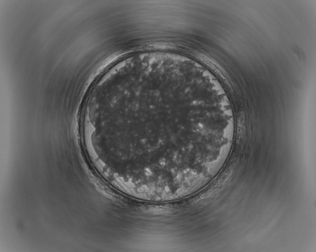 X0000113061047200909250905