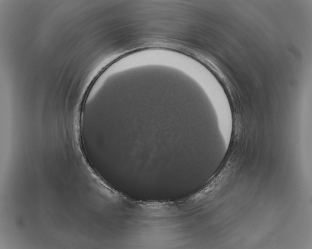 X0000113061048200909250905