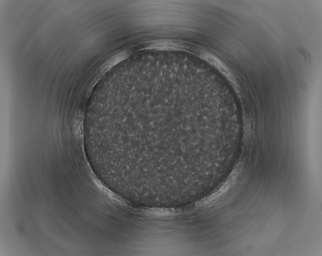 X0000113061049200909250905