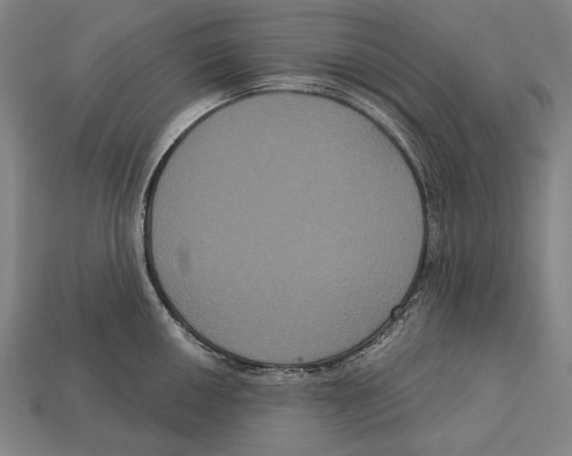 X0000113061050200909250905