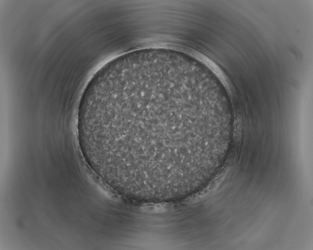 X0000113061051200909250905