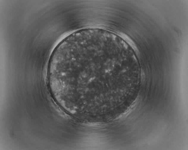 X0000113061052200909250905