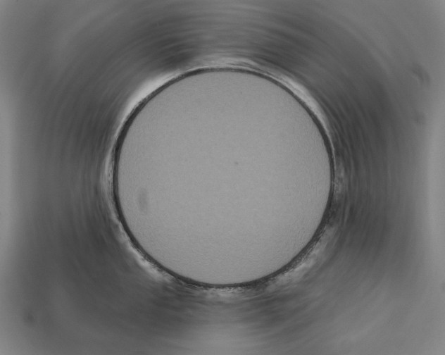 X0000113061053200909250905