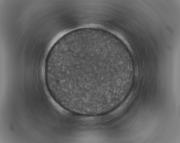 X0000113061054200909250905