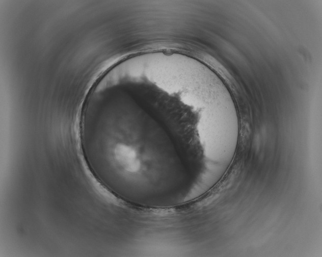 X0000113061055200909250905