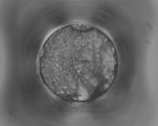 X0000113061056200909250905