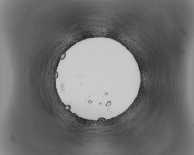 X0000113061057200909250904