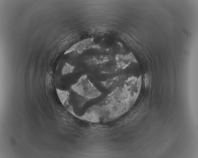 X0000113061059200909250904