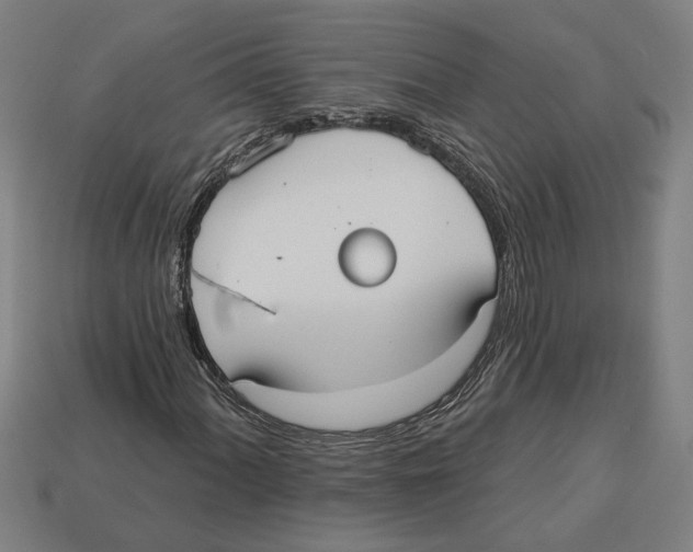 X0000113061060200909250904