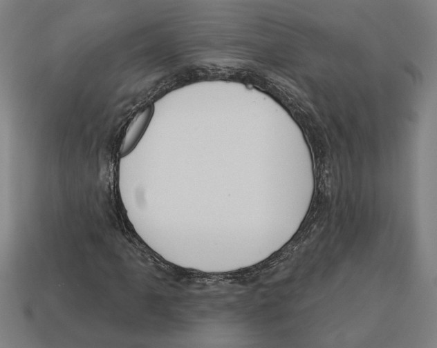 X0000113061061200909250904