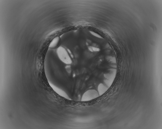 X0000113061063200909250904