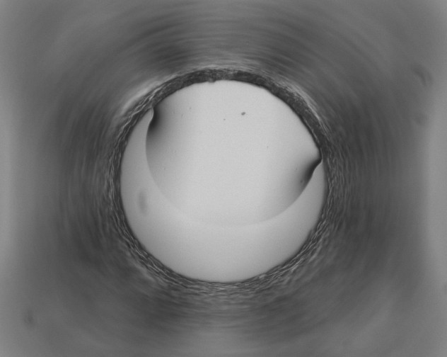 X0000113061064200909250904