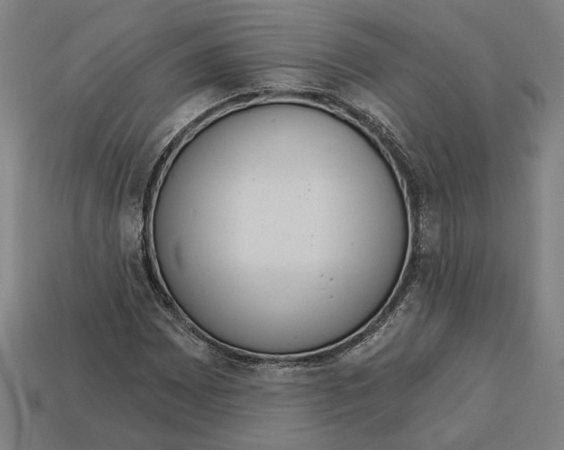 X0000113061065200909250904