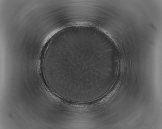 X0000113061066200909250904