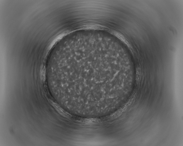 X0000113061067200909250904