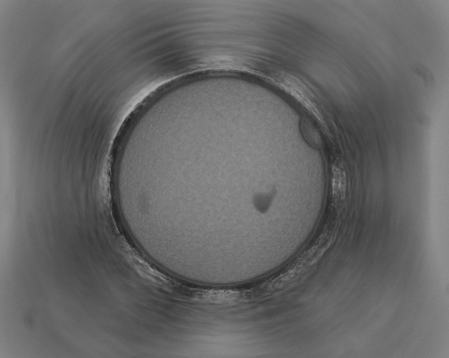 X0000113061068200909250904