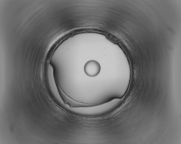 X0000113061069200909250904