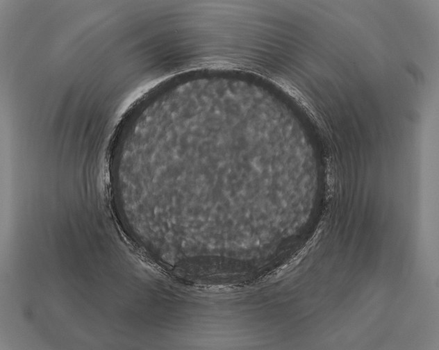 X0000113061070200909250904