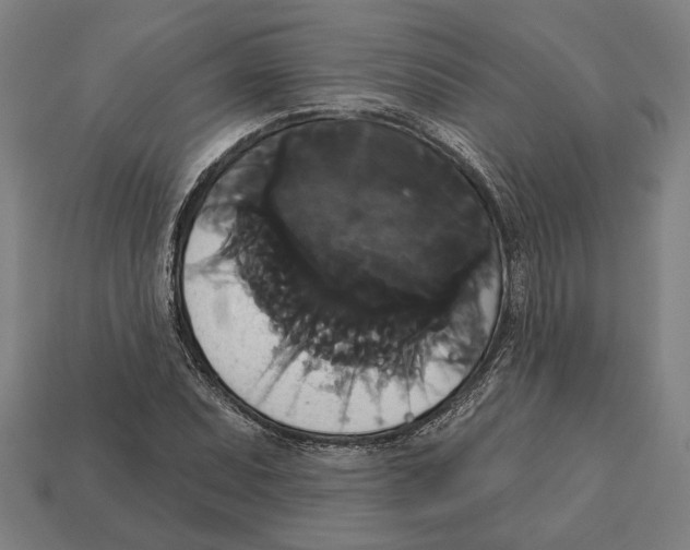 X0000113061071200909250904