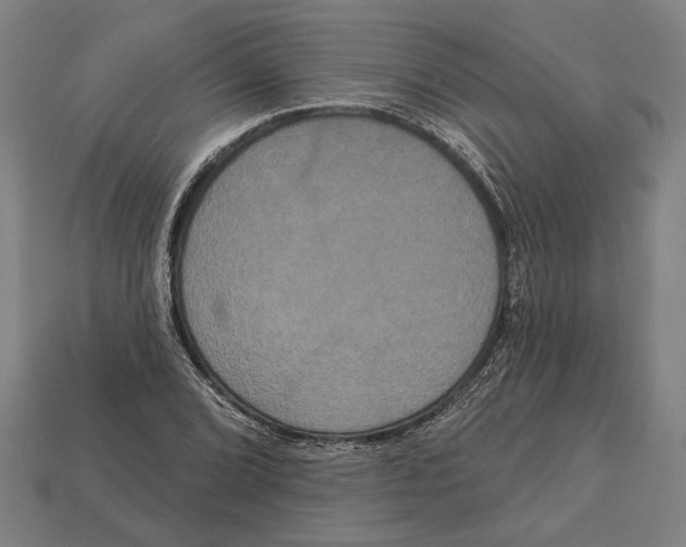 X0000113061072200909250904