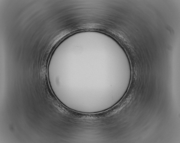 X0000113061073200909250904