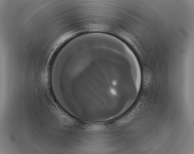 X0000113061074200909250904