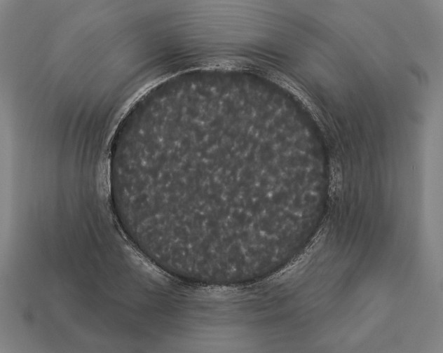 X0000113061075200909250904