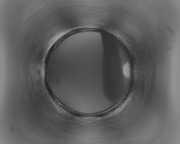 X0000113061077200909250904