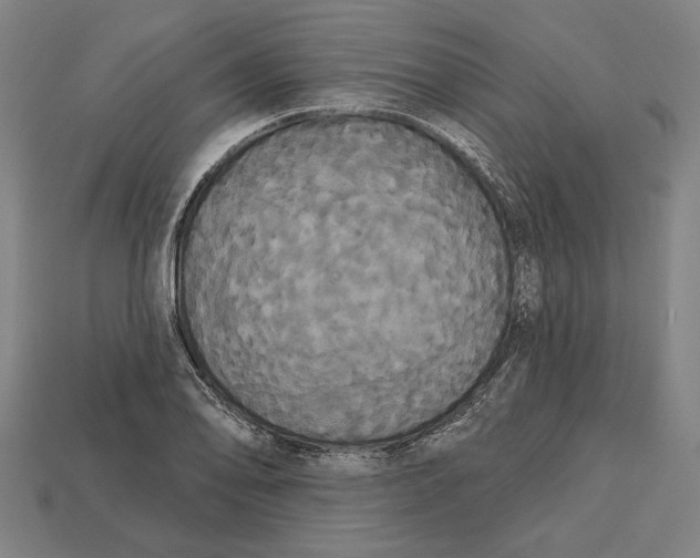 X0000113061078200909250904