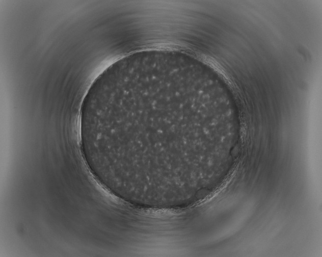 X0000113061079200909250904