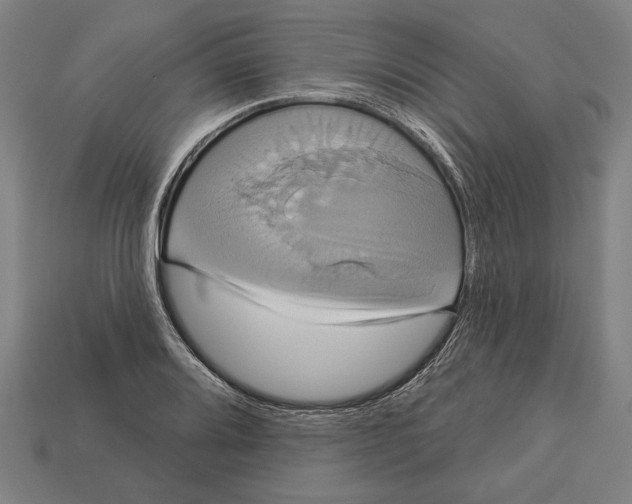 X0000113061080200909250904