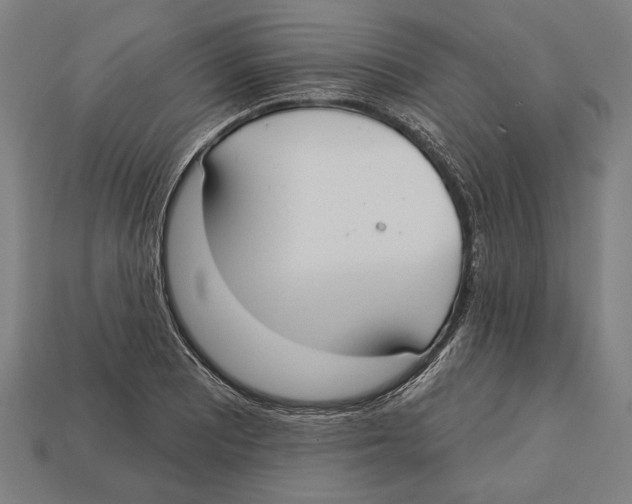 X0000113061081200909250904