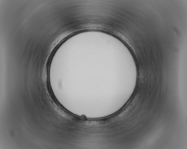 X0000113061082200909250904