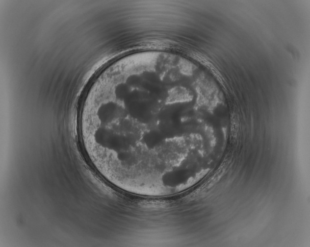 X0000113061083200909250904