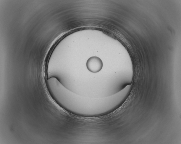 X0000113061084200909250904