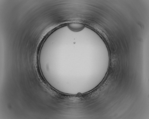 X0000113061085200909250904