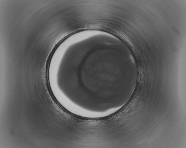 X0000113061087200909250904