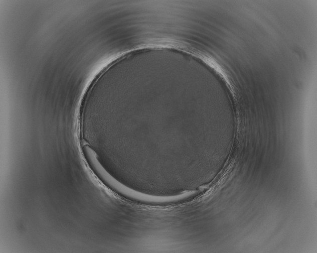 X0000113061088200909250904